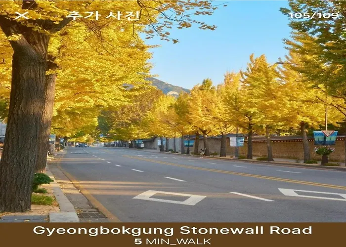 서촌 한옥 독채 #seochonhanok #privatehouse #10인 #4br2ba #경복궁역5분 #gyeongbokgung #북촌 #광화문 #인왕산 빌라 *